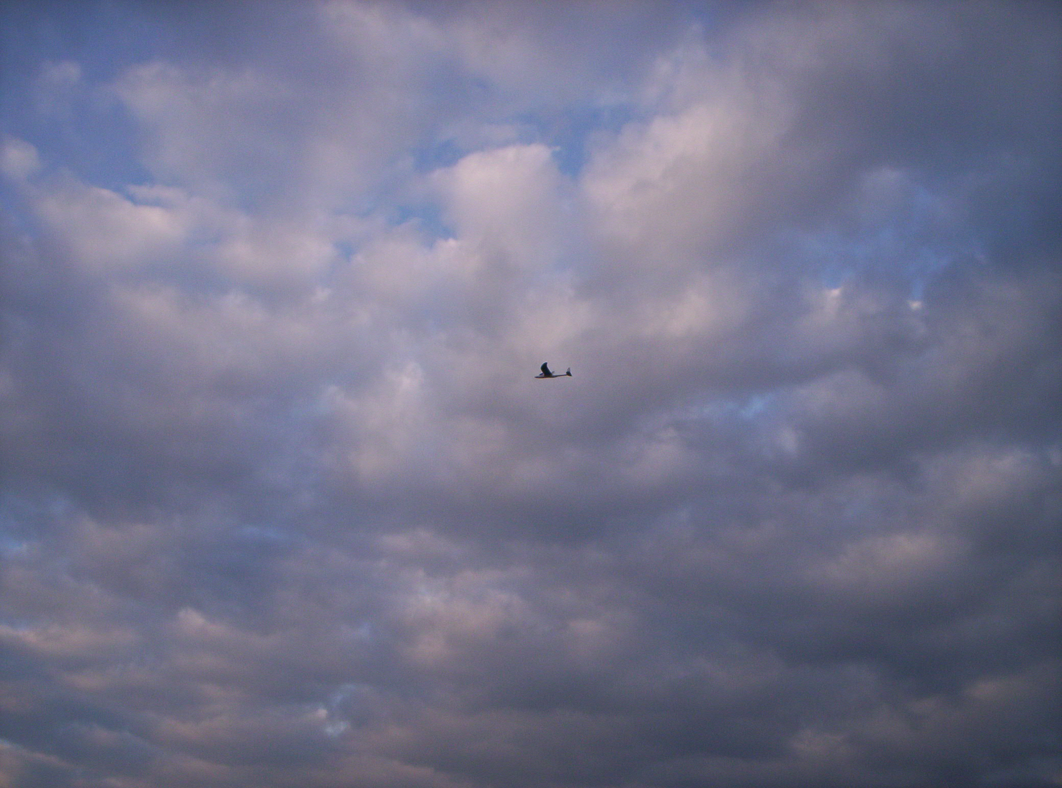 100_2263.JPG